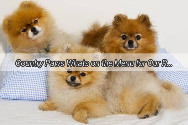 Country Paws Whats on the Menu for Our Rural Canine Companions